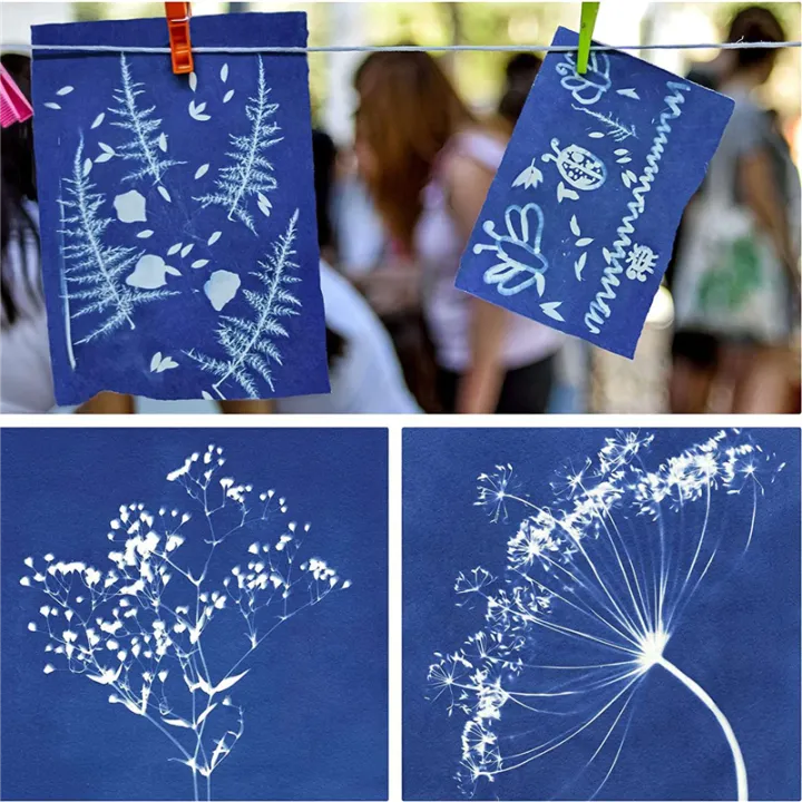73%20Pieces%20Sun%20Print%20Paper%20Cyanotype%20Paper%20Kit,%20Solar%20Drawing%20Paper%20Sensitivity%20Sunprint%20Nature%20Printing%20Paper%20-%20Image%208