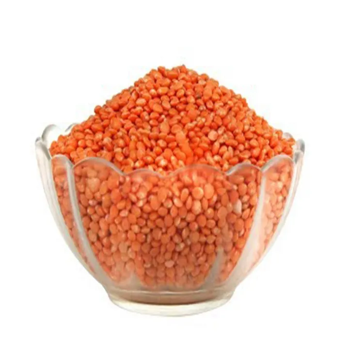 Good%20Quality%20High%20Quality%20Mussuri%20Pulses%20-%201Kg%20-%20Image%204