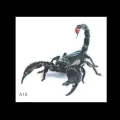 【Mary DAI Store】New 3D Spider Scorpion Lizard Crawling Car Sticker scratch cover Vehicle Truck Window Decal Gift Decor Accessories. 