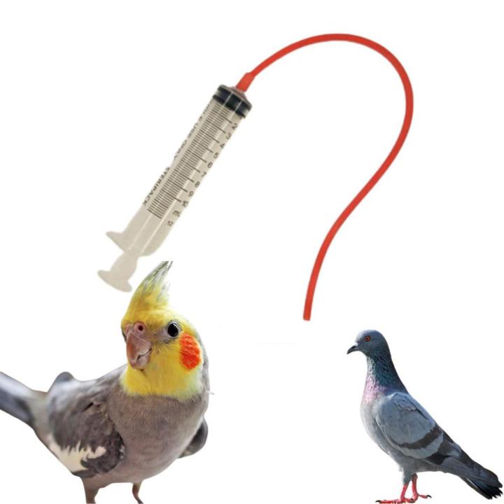 10ml Baby Bird Cockatiel Budgie Parrot Pet Hand Rearing Feeding Syringes Crop Tubes