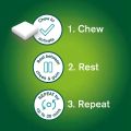Nicorette 2mg Freshmint Gum 210 Gums Pack (International). 