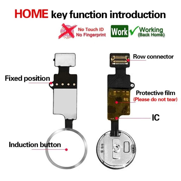 Home-Button%20Flex%20For%20iPhone%206%206PLUS%206S%207%208%20Plus%20Return%20Back%20Home%20Button%20With%20Flex%20Cable%20Rubber%20Sticker%20No%20Touch%20ID%20Fingerprint%20-%20Image%202