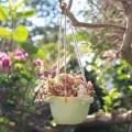 Hanging Flowerpot DIY Cartoon Resin Flower Pot for Balcony Indoor Courtyard.