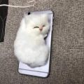 Artificial Mini cat  Lovely Simulation Animal Doll Plush Sleeping Cats. 