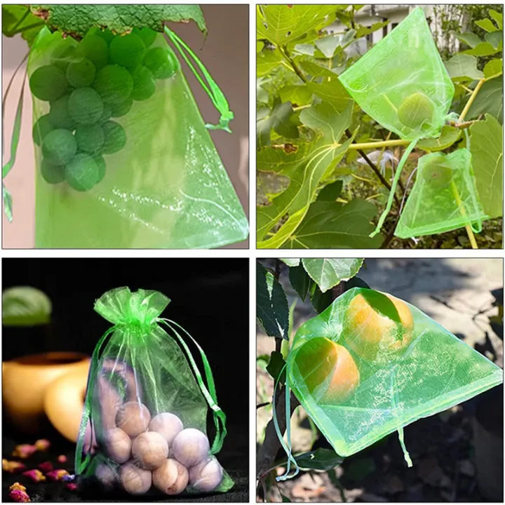 10%20PCS%20Fruit%20Garden%20Nylon%20Protection%20Bag%20Insect-proof%20protection%20Bag%20Insect%20Mesh%20Net%20for%20Anti%20Insect%20-%20Image%206