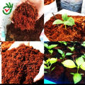Natural Coco Peat- 500gram+ for Gardening Premium Quality. 