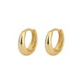 AliExpress S925 sterling silver glossy earrings cross-border minimalist design sense of male and female earrings jewelry.