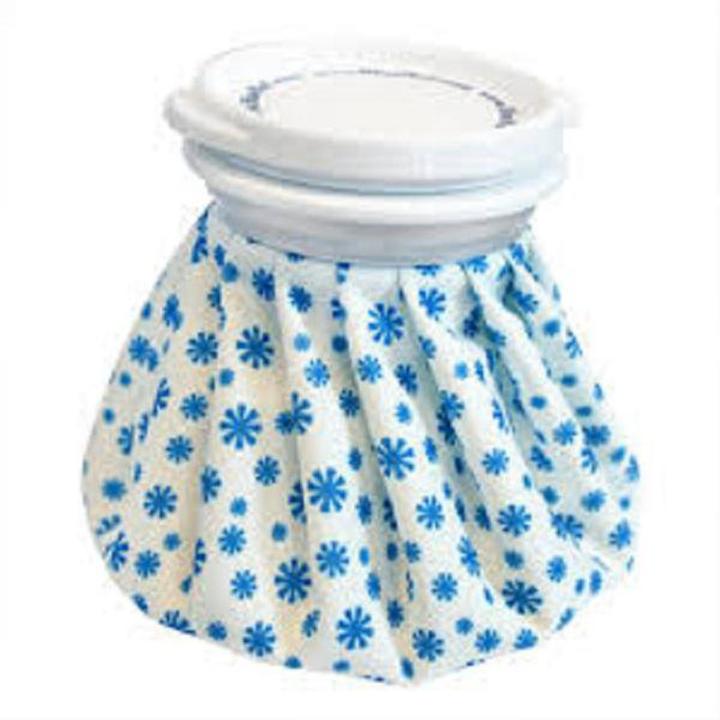 eglish Style Ice Cap Reusable Ice Bag 9  Inch -En