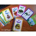 Arabic Flash Card for Kids Early Learning 32 Cards.