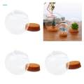3pcs Glass Ball Shaped Cover Landscape Terrarium Container Lid Vase Bottle. 