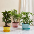 Pot Eco-friendly Office Plastic Flower er Pot. 