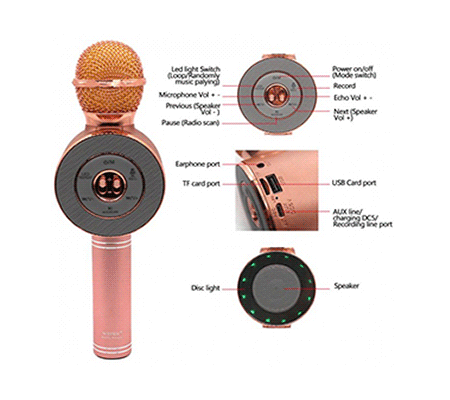 WSTER%20WS-668%20Karaoke%20Microphone%20-%20Image%202