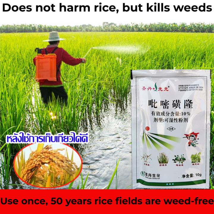 Rice Herbicide: 99% Weed Control, Fast-Acting, Long-Lasting | Daraz.com.bd