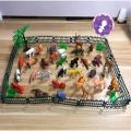 Mini Animal Zoo- Animal Play Sets More Than 25 Pieces - বাচ্চাদের খেলনা. 