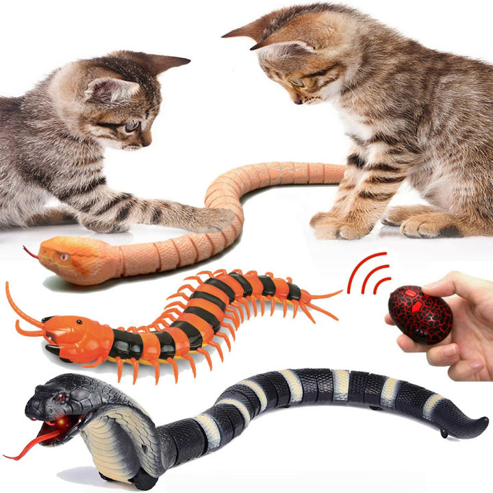 RC Remote Control Snake Toy For Cat Kitten Egg-shaped Controller Rattlesnake Interactive Snake Cat Teaser Play Toy Game Pet Kid