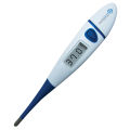 Digital Thermometer.