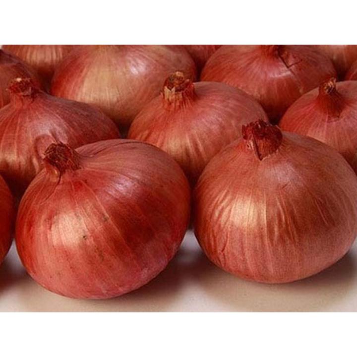Onion%20Seeds%20-%20100%20pcs%20Imported%20F1%20Hybrid%20Spring%20Cut%20Bunching%20-%20Image%202