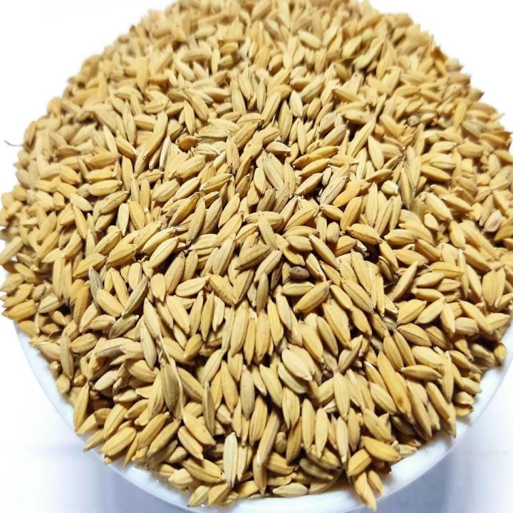 Polar Chal er Dhan (Chinigura Paddy) - 5kg