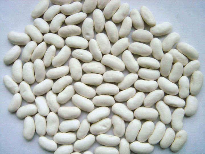White%20Kidney%20Beans/%20Rajma%20White-%201%20kg%20-%20Image%202