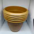 8" Esha Flowers Tob 8 Pis + Gift (Brown Color).