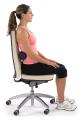 Spine Lumber Roll Cushion for Lower Back Pain, Car Seat & Office Chair.