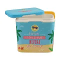 RFL Thermal Ice Box  Food-grade 15 L 889054. 