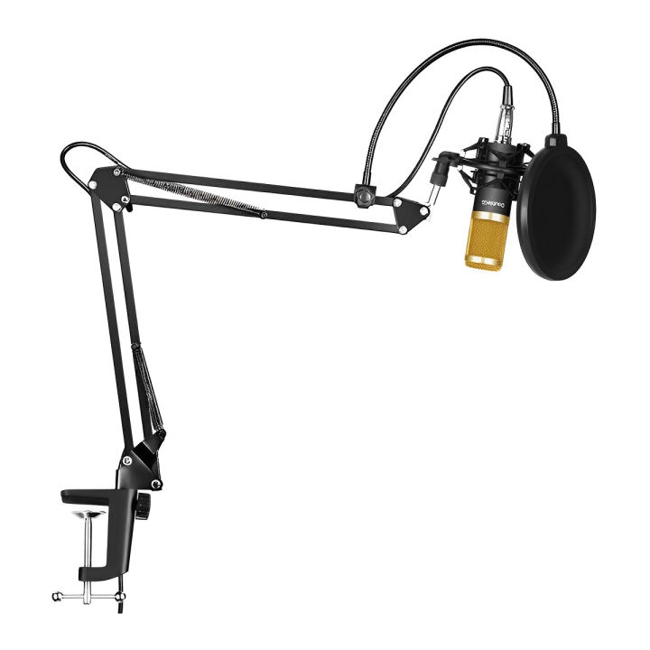 BM-800%20Condenser%20Microphone%20Full%20Studio%20Setup%20-%20BM800%20Complete%20Package%20Price%20Mic%20Condenser%20Microphone%20For%20Studio%20Recording%20or%20Youtuber%20Channel%20-%20Image%202