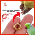 Ringneck Parrot China Ring & Harness 7mm Ring Combo. 