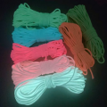 5 meter/Lot (16.4 Feet)  2mm Luminous Rope Glowing Paracord String Rope Parachute Cord Lanyard. 