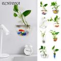 Exceotional Quality - ECHIDNA Flower Planter Pot Water Drop Wall Hanging Glass Flower Vase - Sustainable Option - Expression of Yourself.