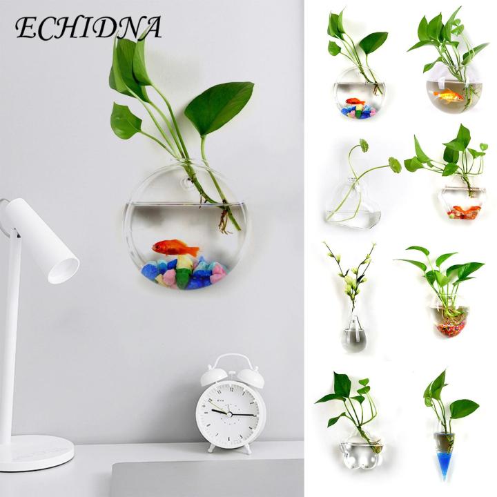 Exceotional Quality - ECHIDNA Flower Planter Pot Water Drop Wall Hanging Glass Flower Vase - Sustainable Option - Expression of Yourself