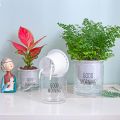 Transparent flower pots automatically absorb water round plastic hydroponic potware creative succulent plant pots 1 PCS.