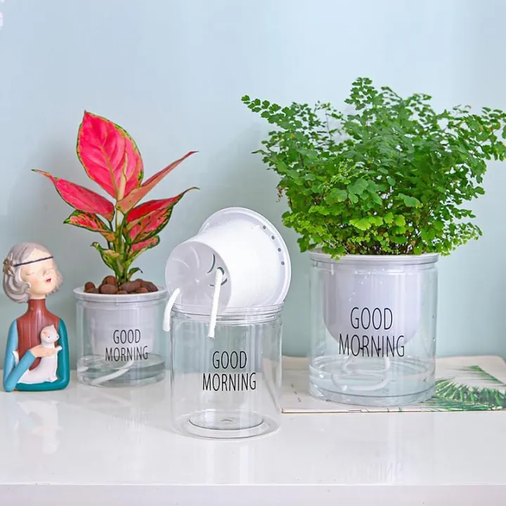 Transparent%20flower%20pots%20automatically%20absorb%20water%20round%20plastic%20hydroponic%20potware%20creative%20succulent%20plant%20pots%201%20PCS%20-%20Image%204