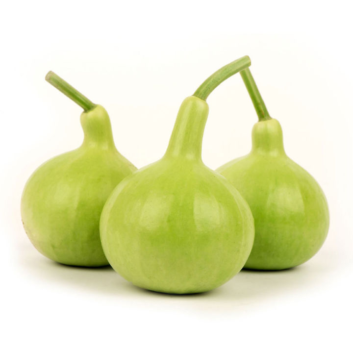 Newfangled%20-%202%20types%20of%20All%20season%20gourd%20seeds%2010%20Pcs%20total.%20Round%20and%20big%20hybrid%20gourd%20seeds%20-%20Tools,%20DIY%20&%20Outdoor%20-%20Excellent%20-%20Image%204