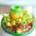 100pcs Mix Lithops bonsai Living Stones Flower Succulent Cactus Organic Plant Home Garden.