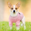Pet Dog Clothes Cute Coat Puppy Clothing For Small Medium Dogs Cats Puppy Yorkshire Outfits. 