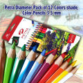 Petra Diameter Pack of 12 Colors shade, Color Pencils 3.5 mm. 