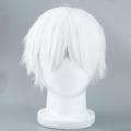 【Serendipity party】Male White Wig for Cosplaying  Characters Straight Short Synthetic Wigs. 