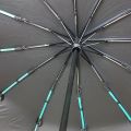 BMW Umbrella 16 rib (16K-48 Bones Full auto open & close). 