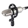 FIFINE F-700 Professional Condenser Sound Recording Microphone with Shock Mount for Studio Radio Broadcasting & Live Boardcast, 3.5mm Earphone Port, Cable Length: 2.5m. 