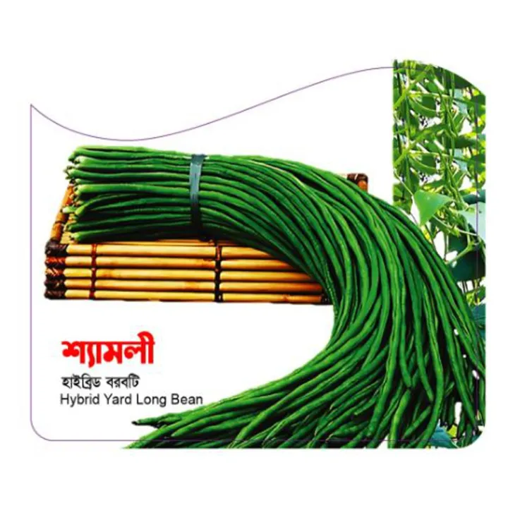 Samoli - Hybrid Borboti (Long Bean) 100gm Intact Pack | Daraz.com.bd