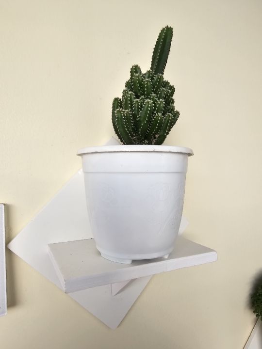 2%20Pcs%20Wall%20Hanging%20Kite%20Flower%20Stand%20.%20Self%20Adhesive%20Punch%20Free%20Wall%20Decorative%20Showpiece%20Holder%20Only%20.%20Only%20square%20Shape%20Stand%20Without%20Flower%20&%20showpiece.%20-%20Image%209