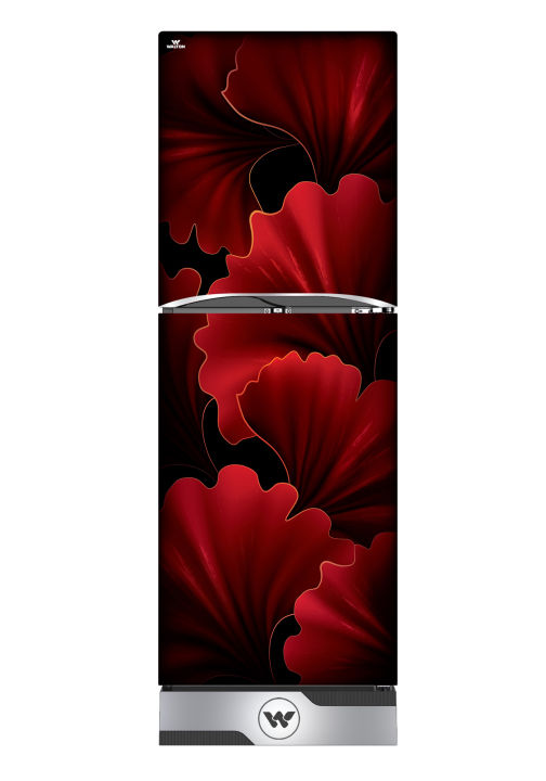 Walton%20Refrigerator%20252%20Ltr%20(WFB-2B6-GDEL-XX-Gross)%20-%20Image%202