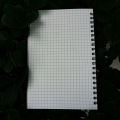 Designer Series Kraft Spiral Grid Graph Notebook. 