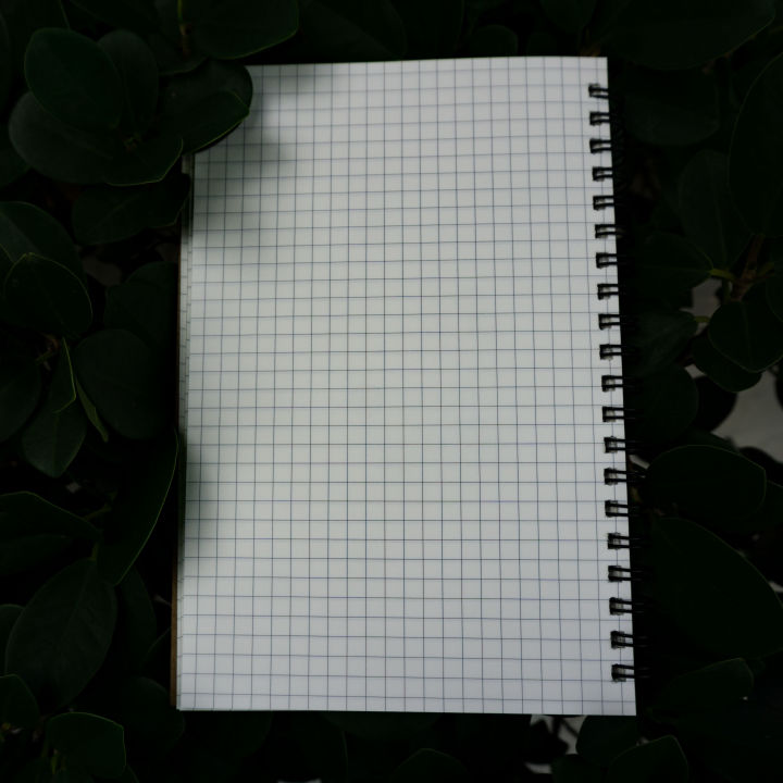 Designer%20Series%20Kraft%20Spiral%20Grid%20Graph%20Notebook%20-%20Image%204