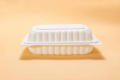 Disposable Lunch Box Plastic Food Take Out Container 8 x 6 inch- 12 | 25 | 50 Pieces. 