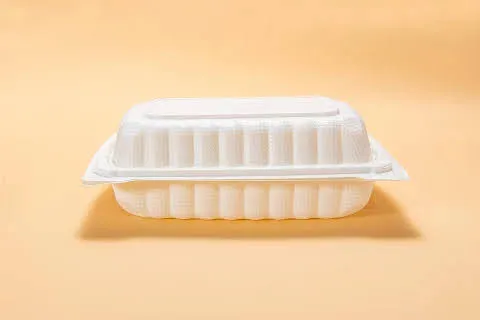 Disposable%20Lunch%20Box%20Plastic%20Food%20Take%20Out%20Container%208%20x%206%20inch-%2012%20%7C%2025%20%7C%2050%20Pieces%20-%20Image%203