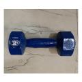 5 Kg Blue Dumbbell 1 Piece - Enhance Muscle Strength And Endurance With The Blue Dumbbell.