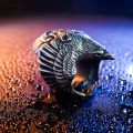 Vintage Charm Horned Snake Ring For Man Woman Aesthetic Punk Viking Myth Snake Dragon Open Ring Cool Trend 2023 New Gift Jewely. 