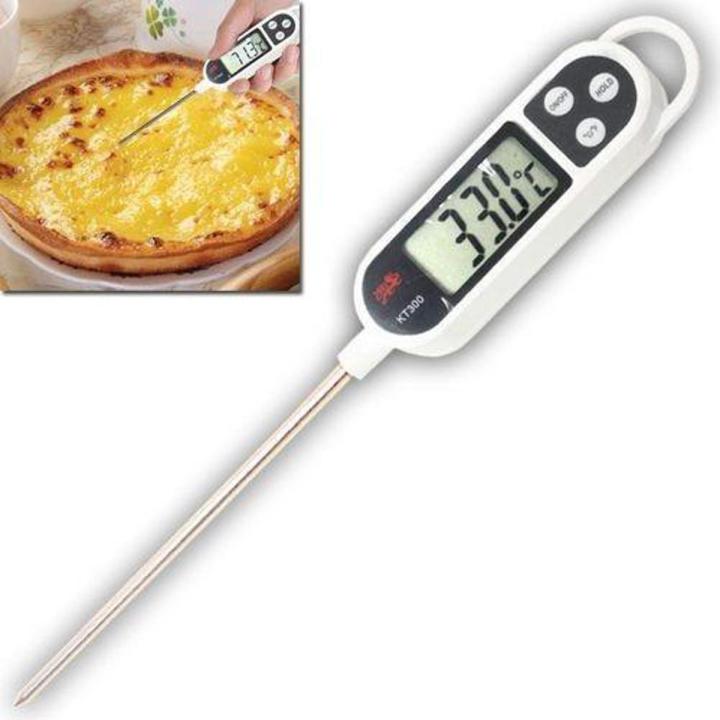 Digital Laboratory Thermometer and Food with Tip